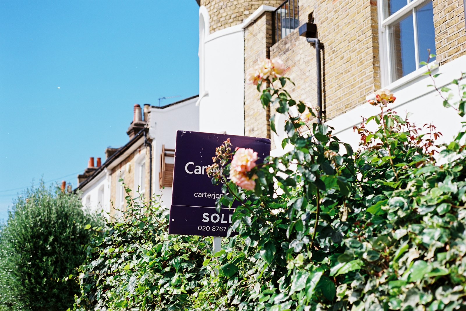 An estate agent board among roses in front of a house
